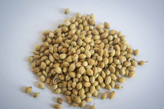 Coriander Seeds