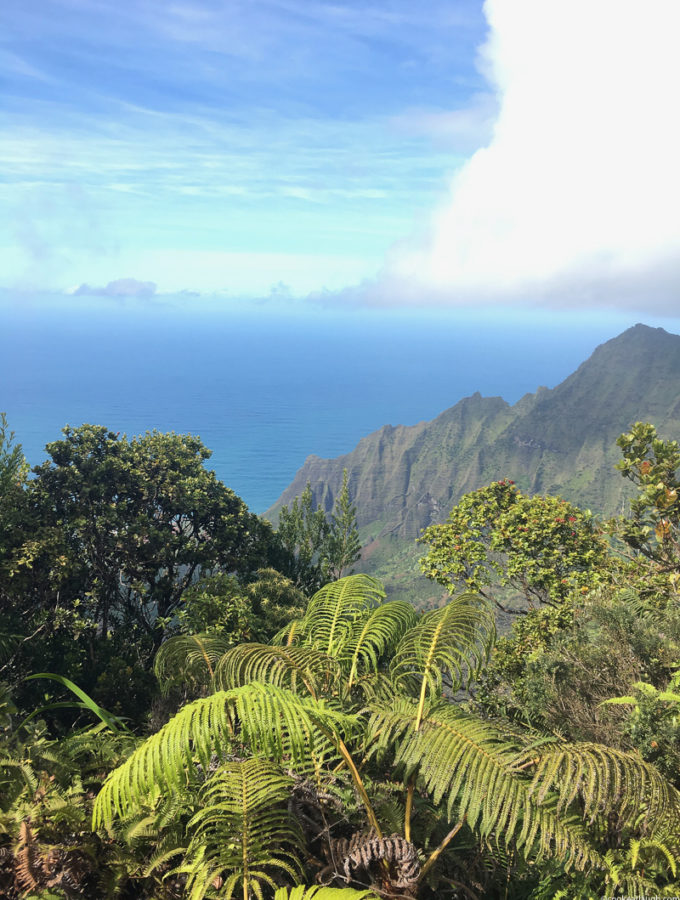 The beautiful island of Kauai- Food guide-28