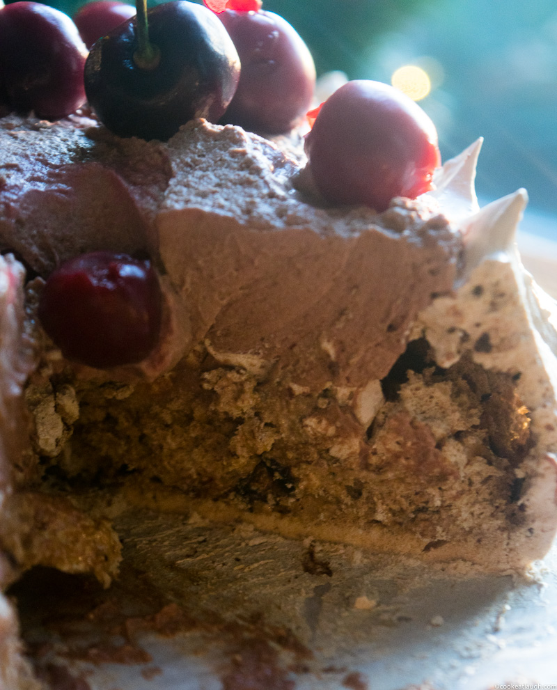 Espresso Chocolate Pavlova-122