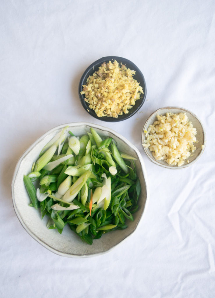 Indo-Chinese Vegetable Stir-fry noodles-2